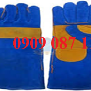 Găng Da Hàn Găng Da Hàn